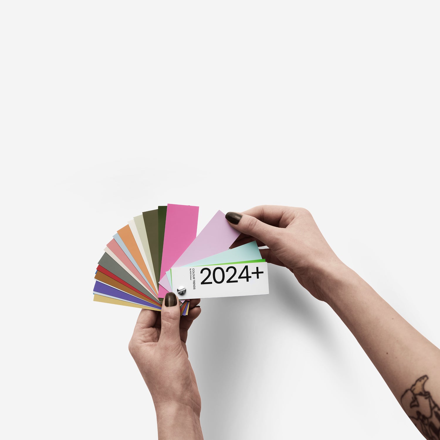 NCS Colour Trends 2024+ Magazine